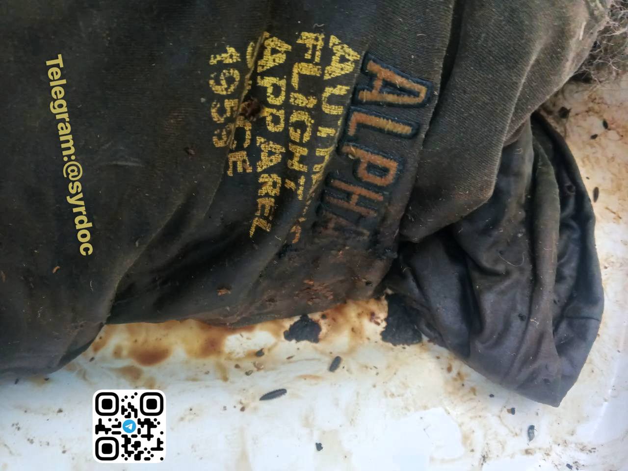 Evidence Image