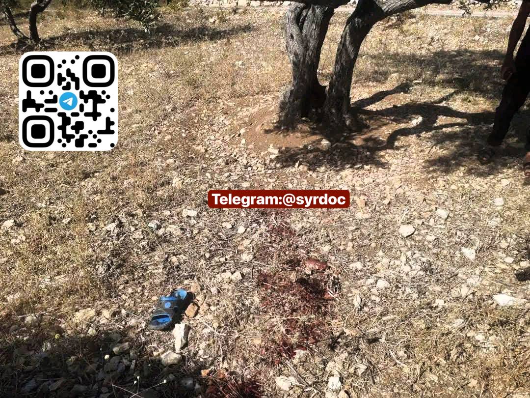 Evidence Image