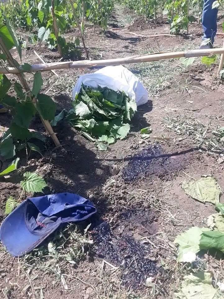 Evidence Image