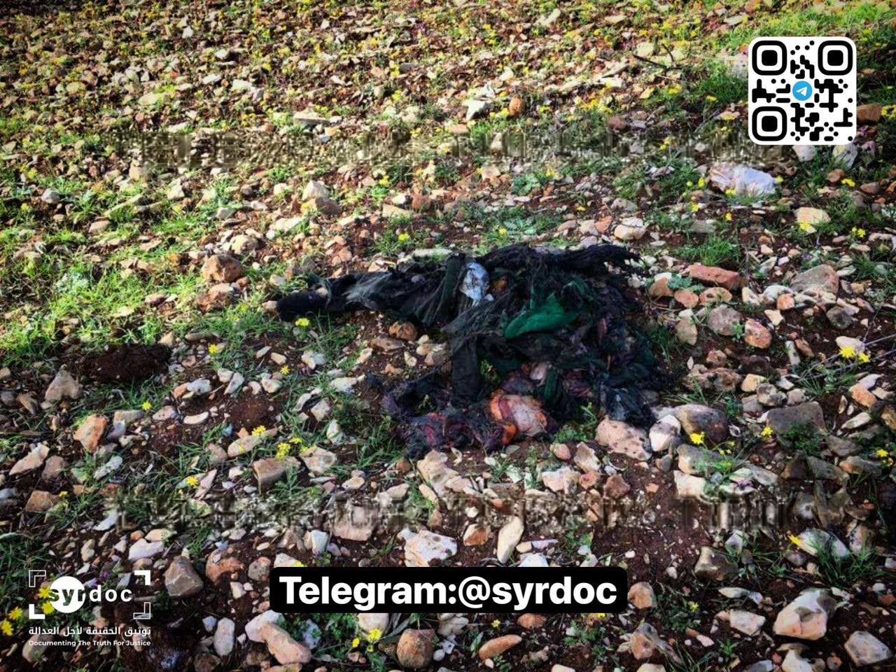Evidence Image